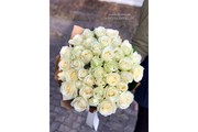 33 белые розы 60 см